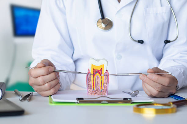 Best Urgent Care for Lost Fillings or Crowns in Northlake, SC